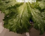 Foto del passaggio 2 della ricetta Insalata di arance mandarini e lattuga tutto a km zero 👩🍳❤️
