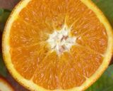 Foto del paso 8 de la receta Bizcocho de naranja 🍊!