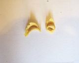 Une image de l'étape 10 de 🇮🇹 Tortellini più buoni del mondo.