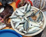 Hình bước làm 1 của món Cá nục một nắng