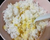 Foto langkah ke 1 dari resep NASI Goreng TELUR (Anti Amis).