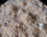 Une image de l'étape 6 de Tarte poireau-oignon-feta.