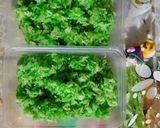 Foto langkah ke 7 dari resep Tape ketan legit.