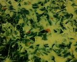 Foto langkah ke 4 dari resep Gulai Daun Singkong.