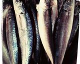 Hình bước làm 1 của món Cá nục sốt cà chua