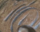 A picture of step 2 of Finger millet /Ragi Payasam.