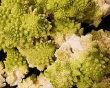 Une image de l'étape 1 de Darnes saumon et chou romanesco sauce légumes au Cook Expert.