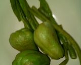 Foto langkah ke 5 dari resep Sambel rujak ala ndut.