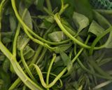 Foto langkah ke 1 dari resep Tumis Morning Glory Khas Vietnam (Rau muống xào tỏi).