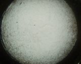 Foto del paso 3 de la receta: Bizcochuelo de naranja