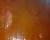 Foto del paso 4 de la receta: Corte de res en salsa de jitomate rojo a la Mario, s