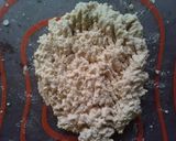 Foto langkah ke 1 dari resep Stik tahu.