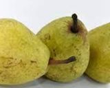 A picture of step 1 of Babugosha halwa (Indian Pear) 🍐.