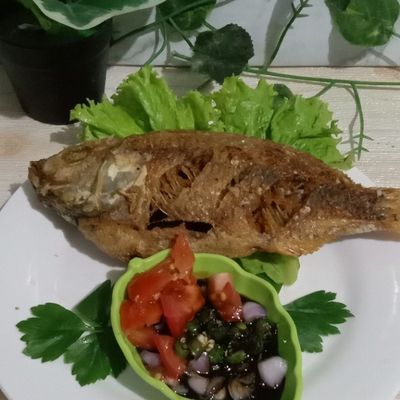 Langkah 5