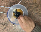 Foto del paso 2 de la receta: Cómo hacer tajine de albóndigas de sardinas fácil y delicioso