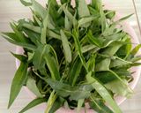 Foto langkah ke 1 dari resep Tumis Kangkung Terasi.
