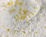 Foto del paso 1 de la receta: Pie de Limón