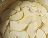 Une image de l'étape 3 de Tarte fenouil caramélisé, pommes et fromage de chèvre frais.