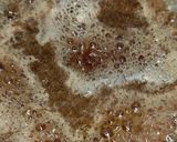 A picture of step 2 of Cardamom Tea 🍵.