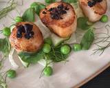 Scallops With A Black Pudding Crumb, Fennel & Cucumber Salad, Pea & Pea Shoots And Apple Purée recipe step 2 photo