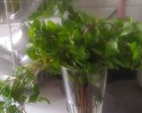 Foto langkah ke 1 dari resep Teh tubruk daun mint (Sintren Nyapu Tang Mint).