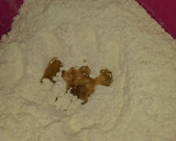 Foto del paso 2 de la receta: Torta fritas