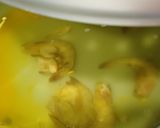 Hình bước làm 1 của món Canh cải xoăn và nấm nấu tôm