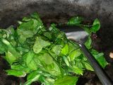 Tumis Daun Katuk