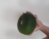 Foto del paso 2 de la receta: Tarta de zapallitos verdes