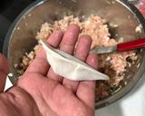 Foto del paso 5 de la receta: Gyoza