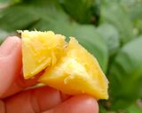 Foto langkah ke 4 dari resep Ubi Jalar Kuning Kukus.
