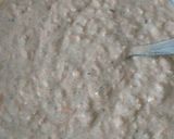 Foto del paso 2 de la receta: Budín de Integral de Zanahoria