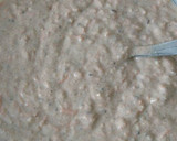 Foto del paso 2 de la receta: Budín de Integral de Zanahoria
