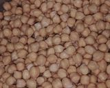 काबुली चना (kabuli chana recipe in hindi) रेसिपी चरण 1 फोटो