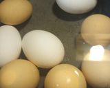 A picture of step 1 of Olivye /Ukrainian Potato Salad.