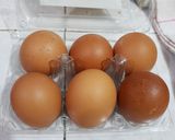 Foto langkah ke 1 dari resep Onsen Egg 🥚.