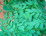 A picture of step 1 of Moringa salad.