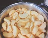 Almakompót recept fázis 3 fotója