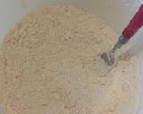 Vickys Traditional Christmas Fruit Cake, GF EF EF SF NF recipe step 3 photo