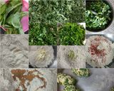 A picture of step 1 of Palak Methi Muthias.