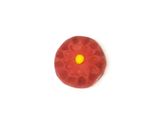 A picture of step 6 of Nerikiri Wagashi: "Kiku" (Chrysanthemum) 2.