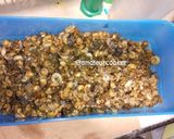 Foto langkah ke 1 dari resep Keong Masak Bumbu Dapur.