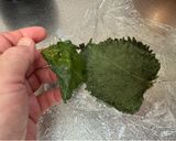 A picture of step 7 of Japanese Shiso Onigiri (Rice Ball)🍙.