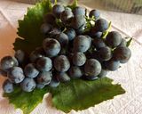Othello szőlő zselé 🍇 recept fázis 1 fotója