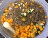 Foto del paso 3 de la receta: Lentejas de dieta DMA #F1