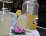 Fennel sharbat with cardamom recipe step 7 photo