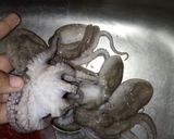 Foto langkah ke 2 dari resep Gurita cabe ijo 🐙.