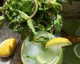 Une image de l'étape 11 de 🍃🌿Menthe 🪴à l’eau 💧façon grand mère 🥂.