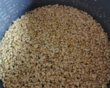 Foto del paso 2 de la receta: Falso pilaf de freekeh con lentejas beluga