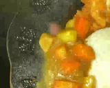 Foto langkah ke 16 dari resep CHICKEN CURRY (kari) KATSU.